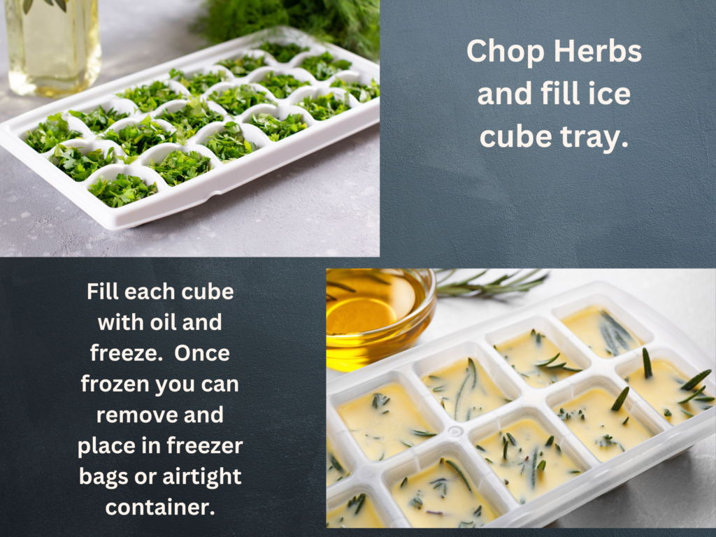 Freezing herbs in oil.  