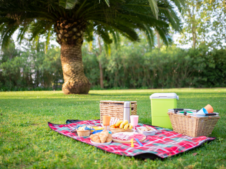 Summer Picnic Food Ideas! Picnic scene with blanket and food in a park.